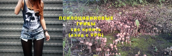 стафф Балабаново