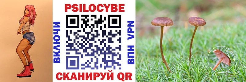 Псилоцибиновые грибы Magic Shrooms Лесосибирск