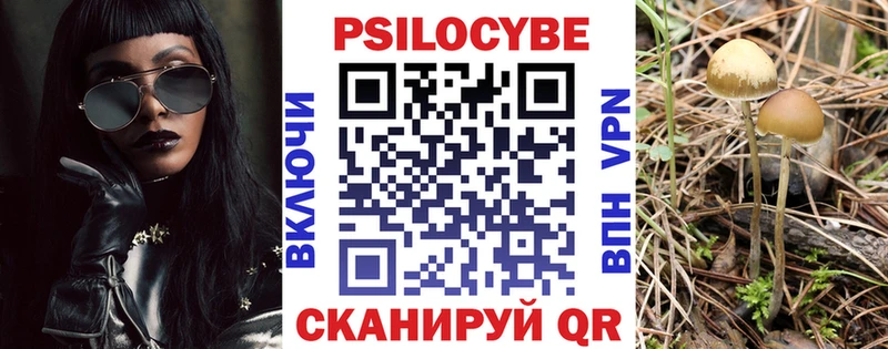 Купить закладки  Лесосибирск  Псилоцибиновые грибы прущие грибы 