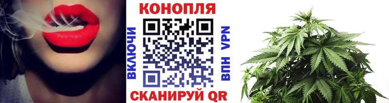 Бошки Шишки сатива  Купить закладки  Лесосибирск 